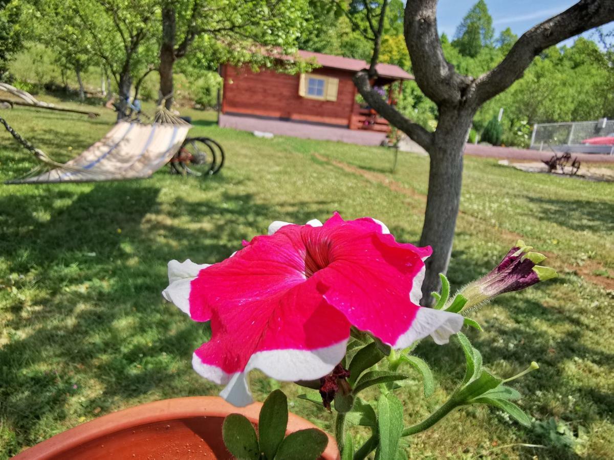 Cottage La Sierra With Jacuzzi Кореница Экстерьер фото